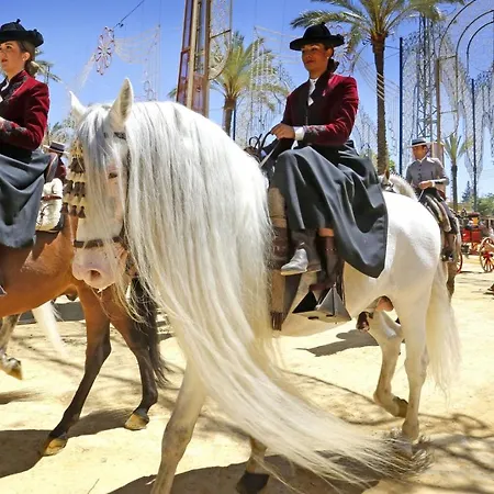 Eva Recommends Porvenir *